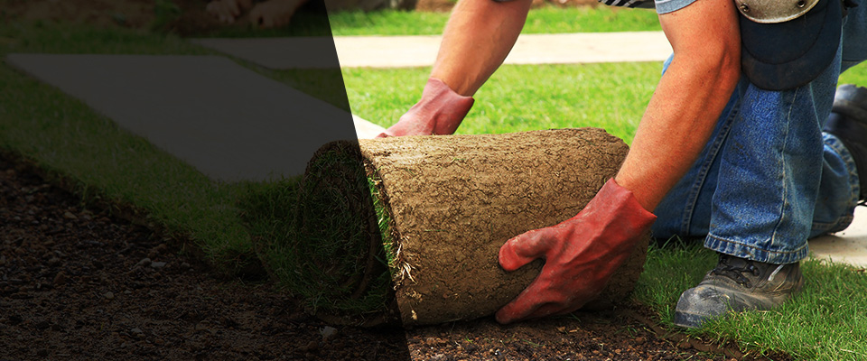 Manistee Landscapers